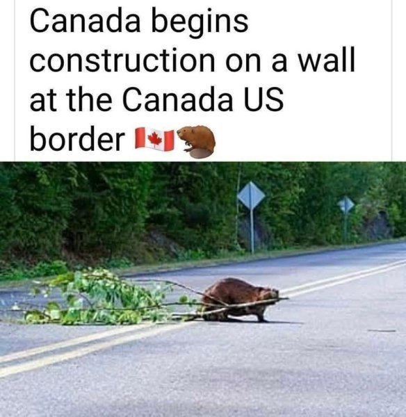 canada-begins-construction-on-wall-at-canada-us-border.jpg