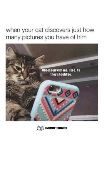 506466931_1277480987072602_6671863733584342239_n.jpg
