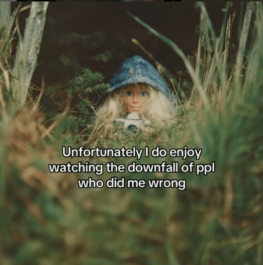 unfortunately-do-enjoy-watching-downfall-ppl-who-did-wrong.png