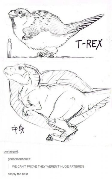 bird rex.jpg