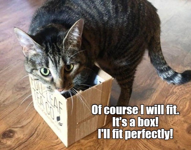 i-dont-see-a-problem