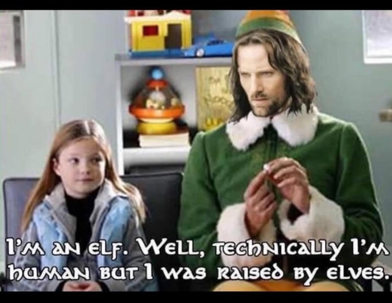 I'M AN ELF. WELL, Technically I'm HUMAN BUT I was raised By ELVES.