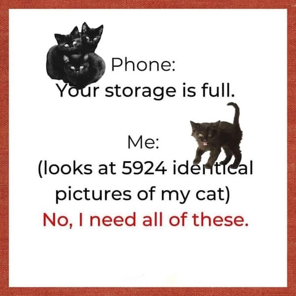 funny-cat-memes-23-20250623.jpg