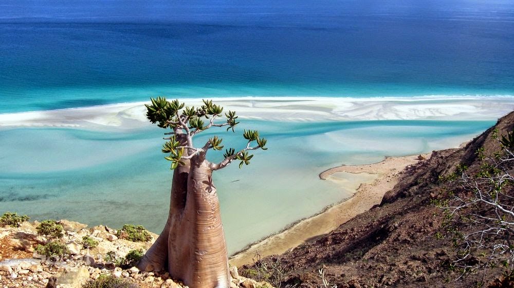 Isla-de-Socotra7.jpg