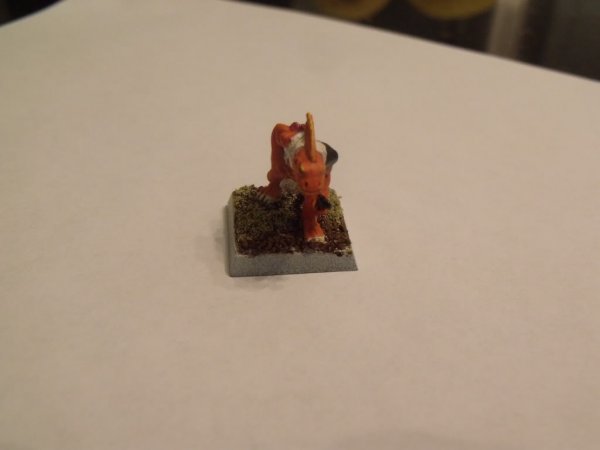 DSCF3988.jpg DSCF3988.jpg