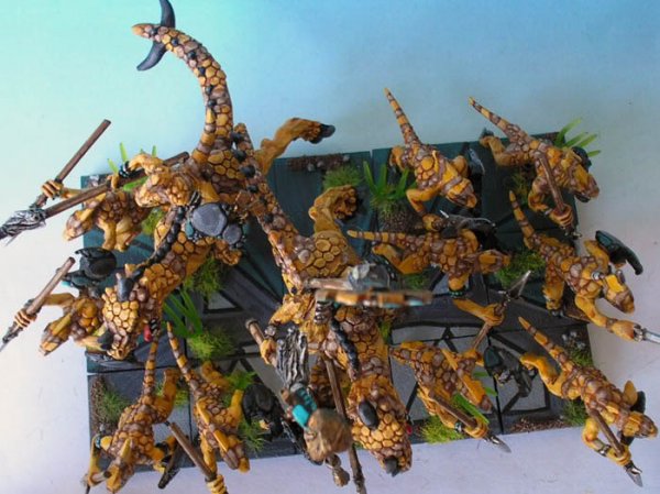 11-1skinks3.jpg