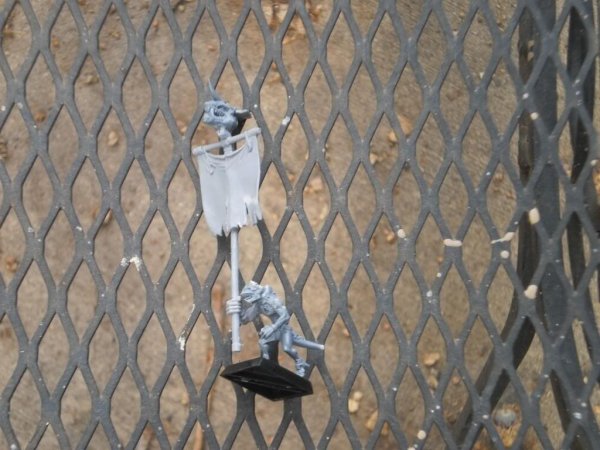 StandardBearer_zpsfd00ecb2.jpg StandardBearer_zpsfd00ecb2.jpg