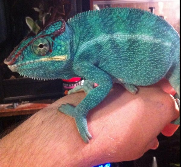 image_zpsa6f0bc56.jpg image_zpsa6f0bc56.jpg