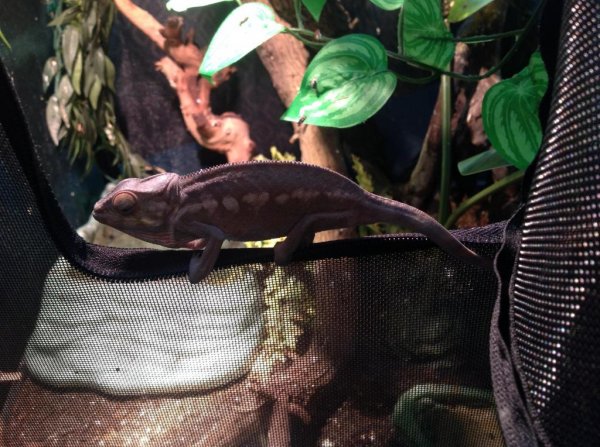 image_zpsf56f397d.jpg image_zpsf56f397d.jpg