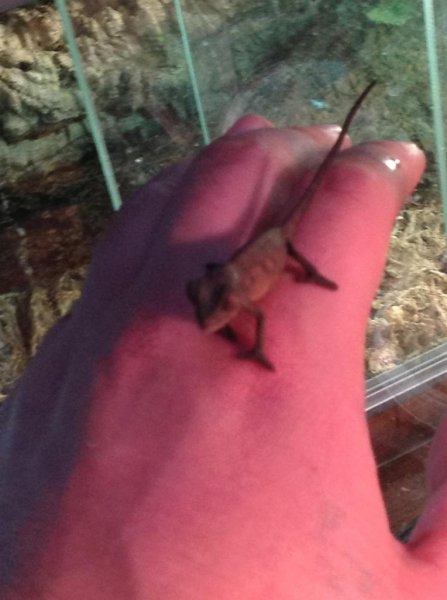 image_zps4b82ccbf.jpg image_zps4b82ccbf.jpg