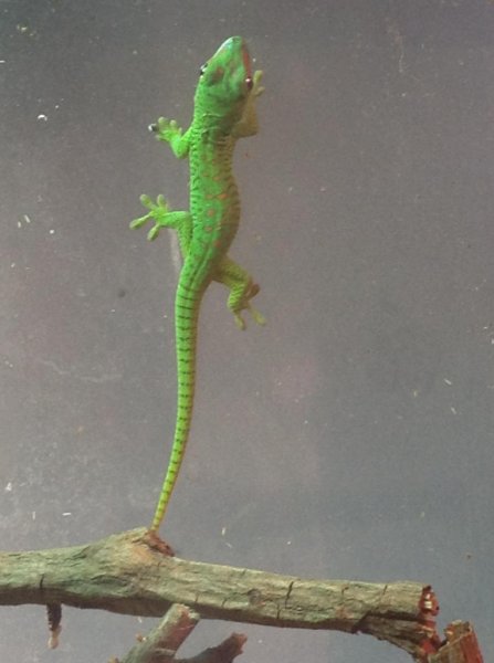 image_zps9436f2a3.jpg image_zps9436f2a3.jpg