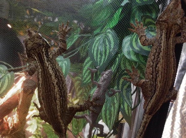 image_zpse72857c0.jpg image_zpse72857c0.jpg