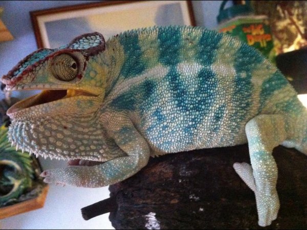 image_zps2beffb9d.jpg image_zps2beffb9d.jpg