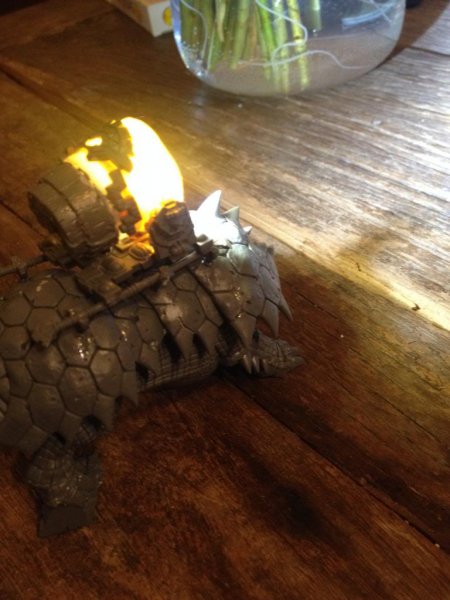 IMG_1410_zps6d378d3d.jpg IMG_1410_zps6d378d3d.jpg