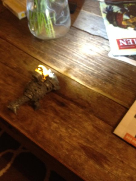 IMG_1411_zpscc3bb1dd.jpg IMG_1411_zpscc3bb1dd.jpg