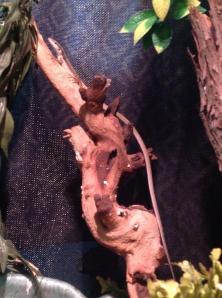 image_zpsb7e93bbe.jpg image_zpsb7e93bbe.jpg