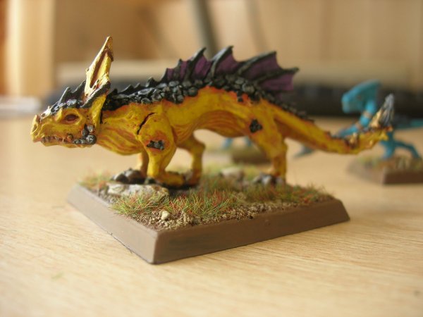 Salamander%2B1.JPG Salamander%2B1.JPG