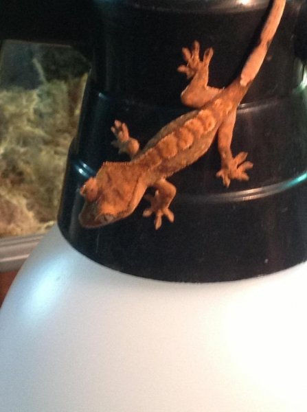 image_zps0f8fc3f1.jpg image_zps0f8fc3f1.jpg