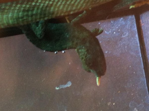 image_zps09b6a9d8.jpg image_zps09b6a9d8.jpg