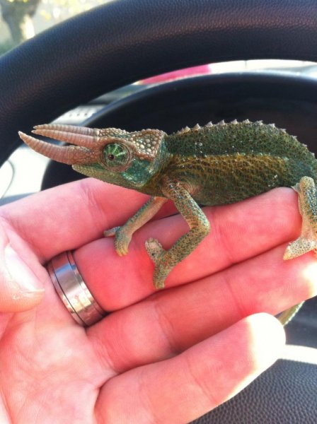 image_zpsbcf8aa9e.jpg image_zpsbcf8aa9e.jpg