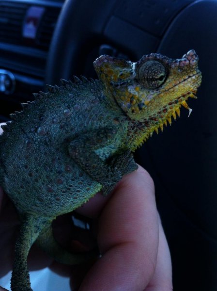 image_zps127630e9.jpg image_zps127630e9.jpg