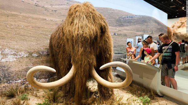 210913135400-woolly-mammoth-replica-file-super-tease.jpg