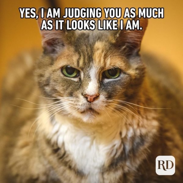 07_I-am-judging-you-Final-1.jpg