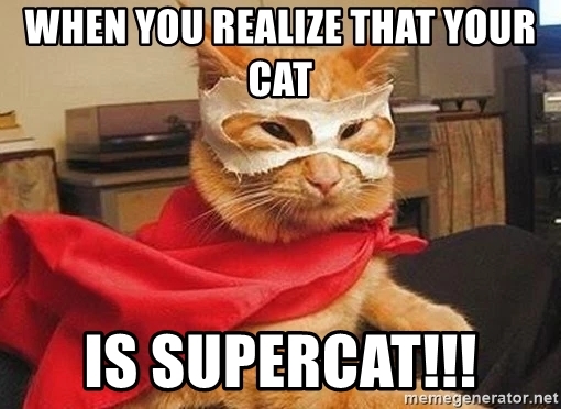 when-you-realize-that-your-cat-is-supercat.jpg