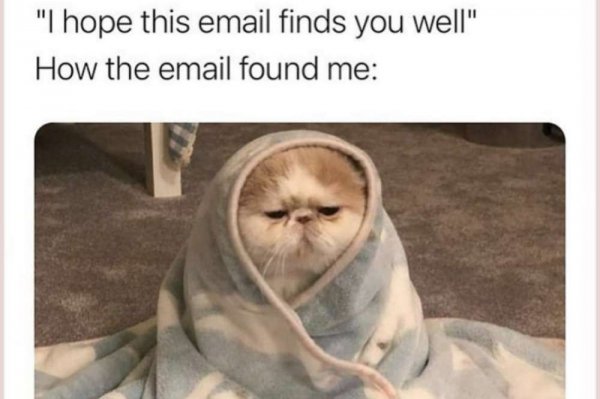 email found you well.jpg