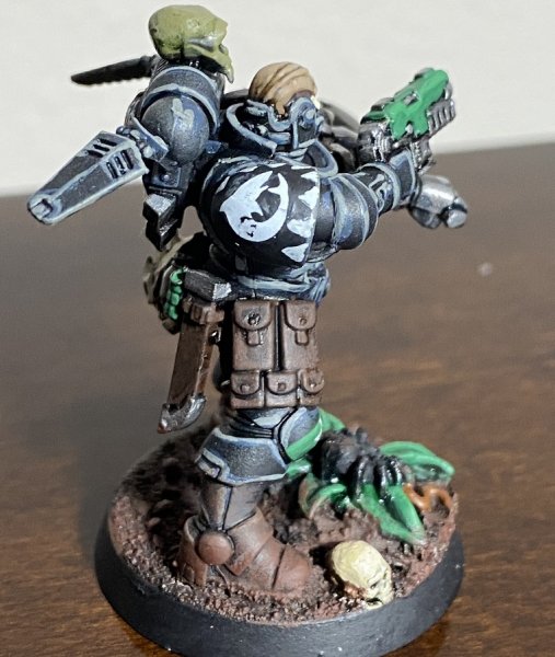 warden20211231_reivers space shark 08 heraldry.jpg warden20211231_reivers space shark 08 heraldry.jpg