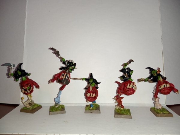 IMG_20220101_095832.jpg IMG_20220101_095832.jpg