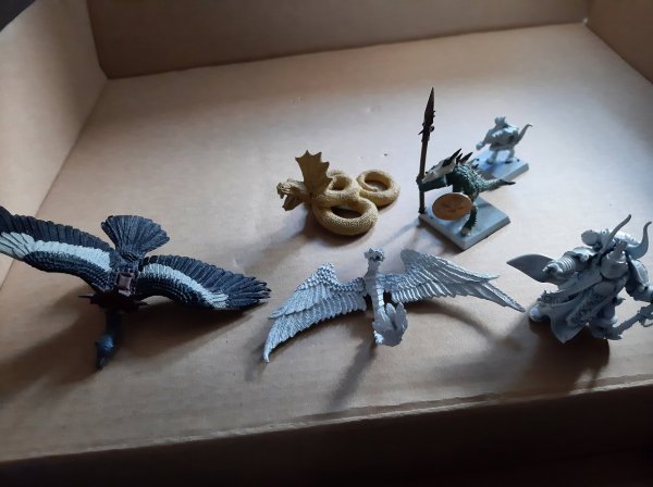 20220103_083920.jpg 20220103_083920.jpg