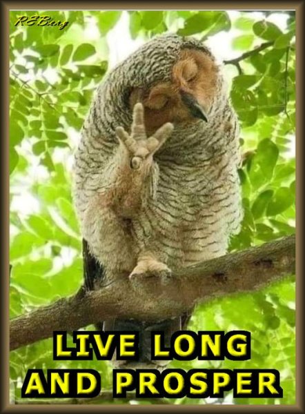 272660639_660534905391251_4248638608348396784_n.jpg 272660639_660534905391251_4248638608348396784_n.jpg