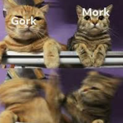 272894202_397502455483155_6539798353367813714_n.jpg 272894202_397502455483155_6539798353367813714_n.jpg