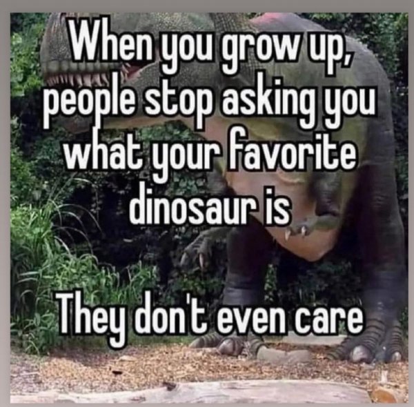 Screenshot_20220202-065655_Instagram.jpg Screenshot_20220202-065655_Instagram.jpg