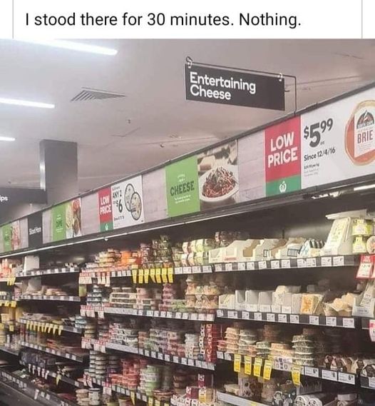 272958307_4668276556618004_5043178770567325217_n.jpg 272958307_4668276556618004_5043178770567325217_n.jpg