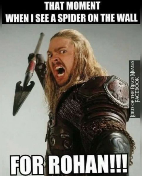 Screenshot_20220202-194739_Instagram.jpg Screenshot_20220202-194739_Instagram.jpg