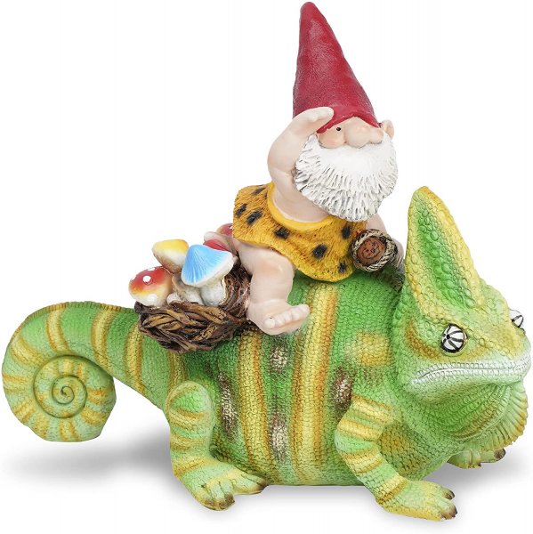 lizard gnome.jpg lizard gnome.jpg