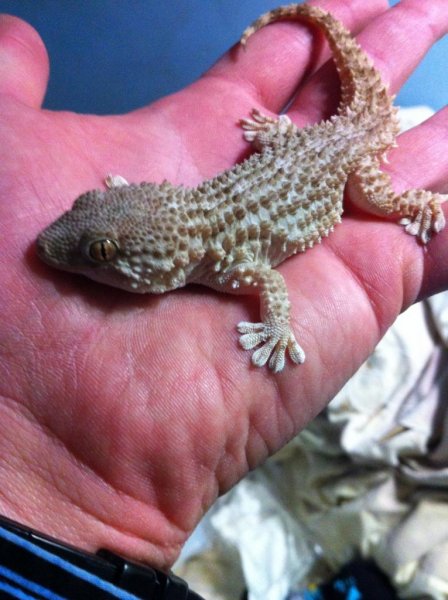 image_zps5052da79.jpg image_zps5052da79.jpg