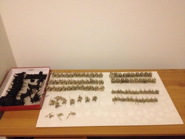 Lizards.jpg Lizards.jpg