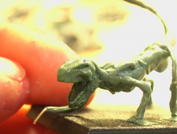 AUT_1952_zps6f00d5e9.jpg AUT_1952_zps6f00d5e9.jpg