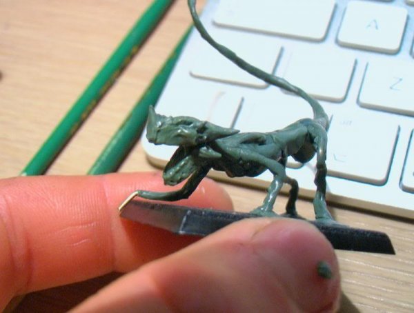 AUT_1953_zpsf2207b5d.jpg AUT_1953_zpsf2207b5d.jpg