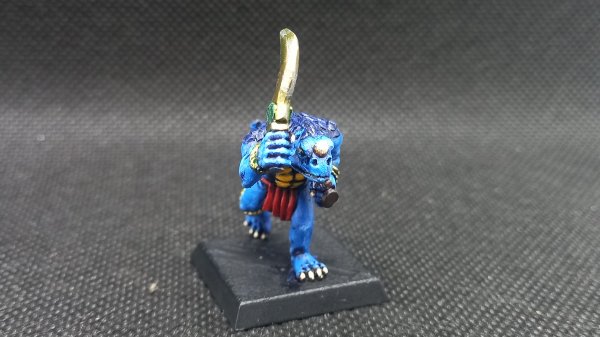 20220310_012104.jpg 20220310_012104.jpg