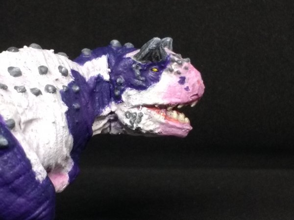 IMG_20220310_095400845.jpg IMG_20220310_095400845.jpg