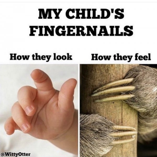 animal-my-childs-fingernails-they-look-they-feel-wittyotter.jpg