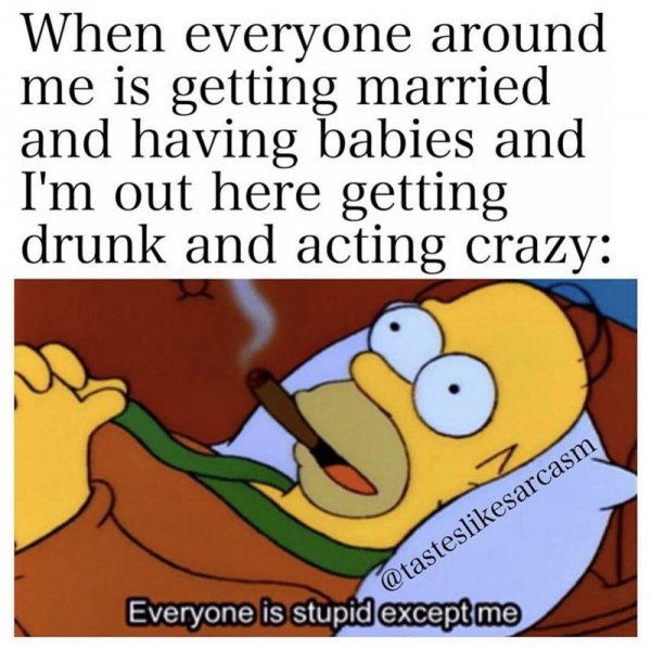 babies-and-out-here-getting-drunk-and-acting-crazy-everyone-is-stupidexcept-tasteslikesarcasm.jpg