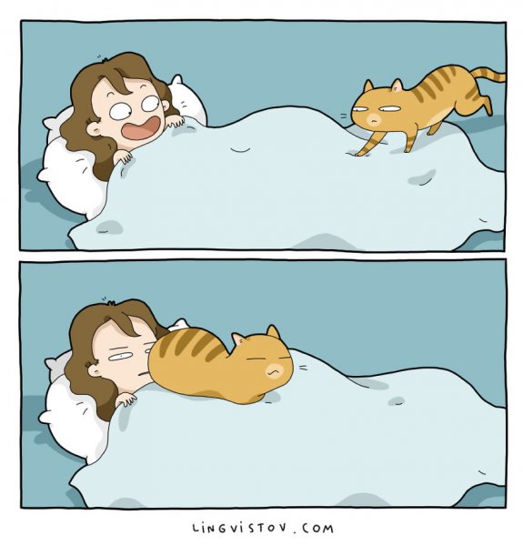 sleeping-with-cat.jpg