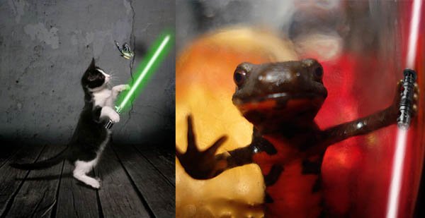 Animals-with-Light-Sabers.jpg