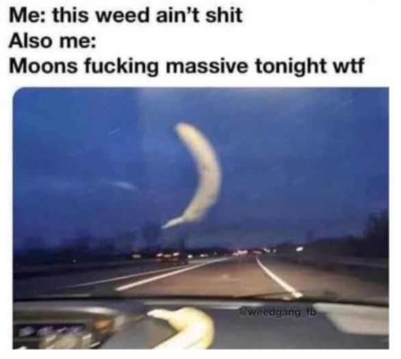 dsfsdfsadfasd.JPG dsfsdfsadfasd.JPG