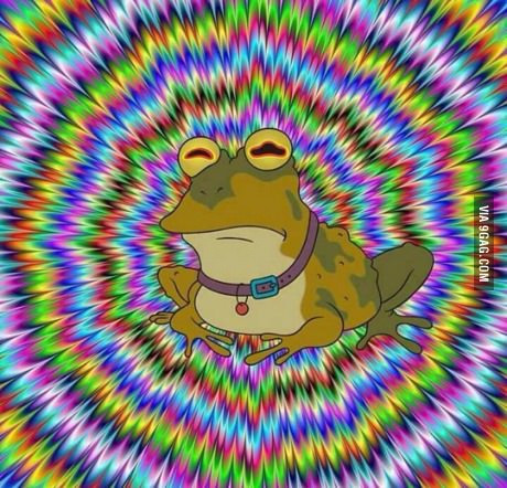 hail hypnotoad.jpg